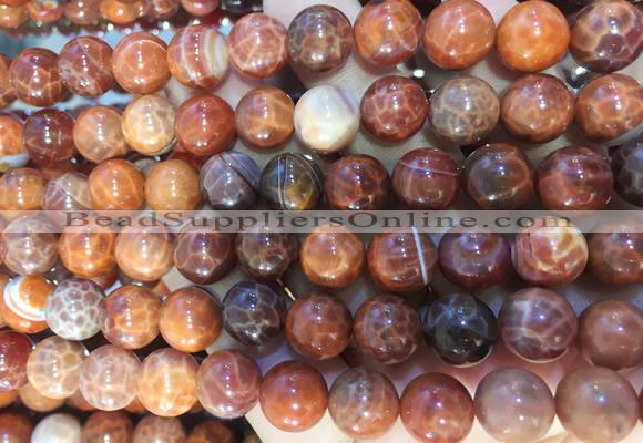 AGBS315 15 inches 10mm round red dragon veins agate beads wholesale