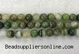 CAA1986 15.5 inches 16mm round banded agate gemstone beads