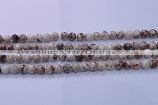 CAG6661 15.5 inches 6mm round Mexican crazy lace agate beads