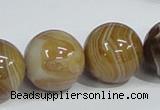 CAG943 16 inches 20mm round madagascar agate gemstone beads