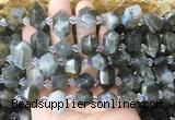 CBBS221 Top drilled 7*16mm - 11*25mm hexahedral prism labradorite beads wholesale