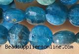 CCB615 15.5 inches 6mm faceted coin natural apatite gemstone beads