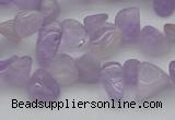 CCH641 15.5 inches 6*8mm - 10*14mm lavender amethyst chips beads