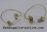 CGB902 12*16mm - 15*20mm freeform fish fossil bangles wholesale
