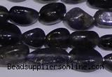 CIL40 15.5 inches 6*8mm nuggets natural iolite gemstone beads