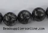 CLB356 15.5 inches 16mm round black labradorite beads wholesale