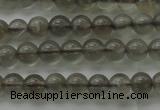 CMS1070 15.5 inches 4mm round grey moonstone beads wholesale
