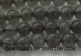 CMS1071 15.5 inches 6mm round grey moonstone beads wholesale