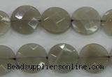CMS130 15.5 inches 14mm faceted coin moonstone gemstone beads
