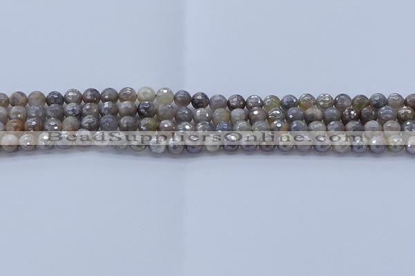 CMS1310 15.5 inches 4mm faceted round AB-color grey moonstone beads