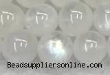 CMS1908 15.5 inches 10mm round white moonstone gemstone beads