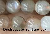 CMS2060 15.5 inches 8mm round moonstone gemstone beads