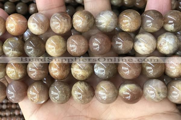 CMS2065 15.5 inches 12mm round moonstone gemstone beads