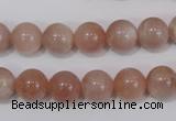 CMS754 15.5 inches 10mm round natural moonstone beads wholesale