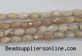 CMS99 15.5 inches 5*7mm faceted rice moonstone gemstone beads