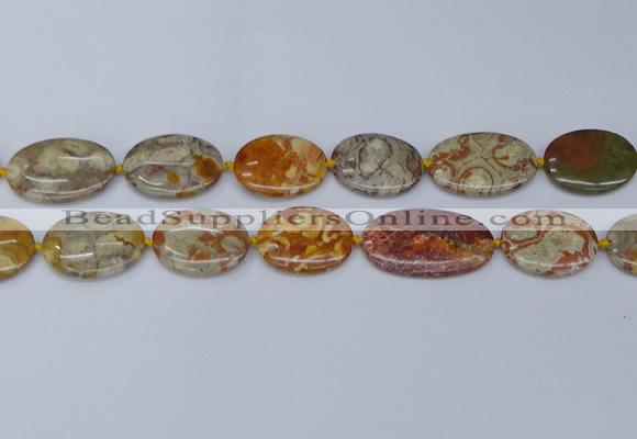 CNG7111 15.5 inches 18*25mm - 20*33mm freeform birdeye rhyolite beads