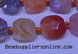 CNG7620 12*14mm - 13*15mm faceted freeform red botswana agate beads