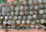 CNG8717 15.5 inches 10mm faceted nuggets labradorite gemstone beads