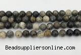 COP1603 15.5 inches 10mm round moss opal beads wholesale