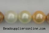 CSB392 15.5 inches 16mm round mixed color shell pearl beads