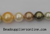 CSB407 15.5 inches 8mm - 16mm round mixed color shell pearl beads