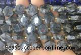 HABS29 15 inches 12mm faceted hexagon black labradorite beads wholesale