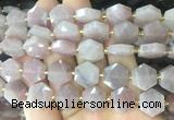 HABS30 15 inches 12mm faceted hexagon moonstone beads wholesale