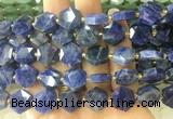 HABS31 15 inches 12mm faceted hexagon sodalite beads wholesale