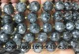 LSBS14 15 inches 16mm faceted round black labradorite beads wholesale