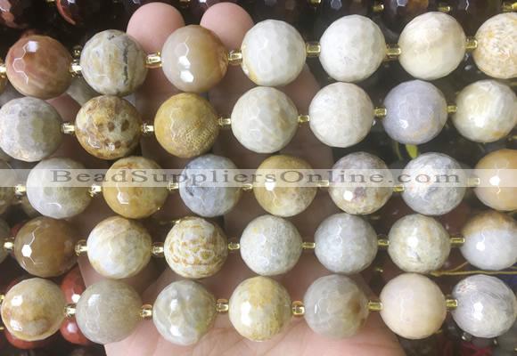 LSBS217 15 inches 16mm faceted round chrysanthemum jasper beads wholesale
