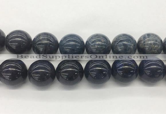LSBS333 15 inches 25mm round Sodalite gemstone beads wholesale