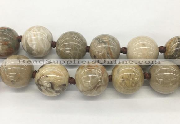 LSBS339 15 inches 30mm round Chrysanthemum agate gemstone beads wholesale