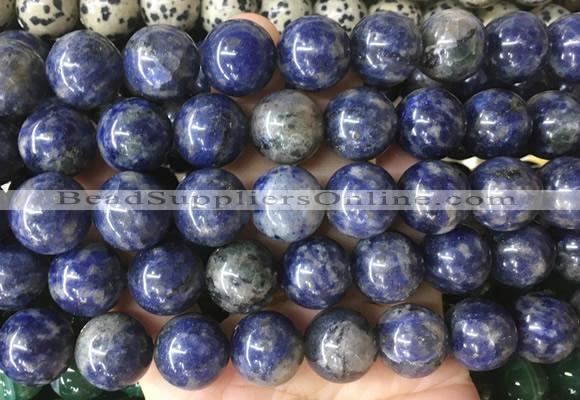 LSBS912 15 inches 16mm round sodalite gemstone beads wholesale