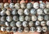 LSBS979 15 inches 16mm round sodalite gemstone beads wholesale