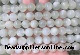 MSBS33 15 inches 10mm round green moonstone gemstone beads wholesale