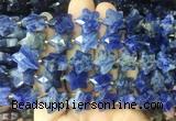 RGBS63 15 inches 14mm faceted star sodalite beads wholesale