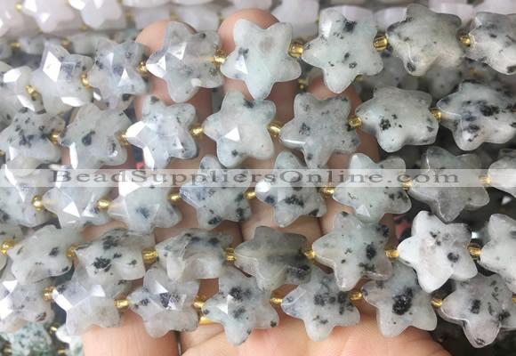 RGBS66 15 inches 14mm faceted star sesame Jasper beads wholesale