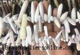 TDBS02 Top drilled 6*20mm - 8*55mm sticks sea urchin shell beads wholesale